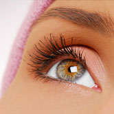 lash-3