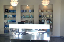Mauricio Fregoso Salon