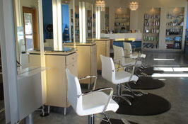 Mauricio Fregoso Salon